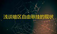 浅谈暗区自由悬挂的现状及发展趋势