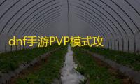 dnf手游PVP模式攻略 PVP模式玩法技巧分享